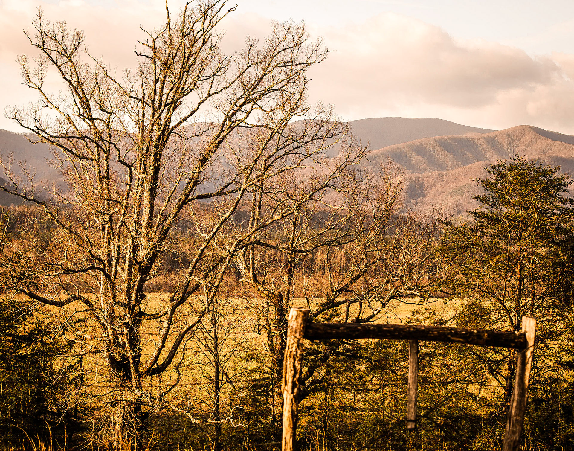 Pasture - Cades Cove, TN