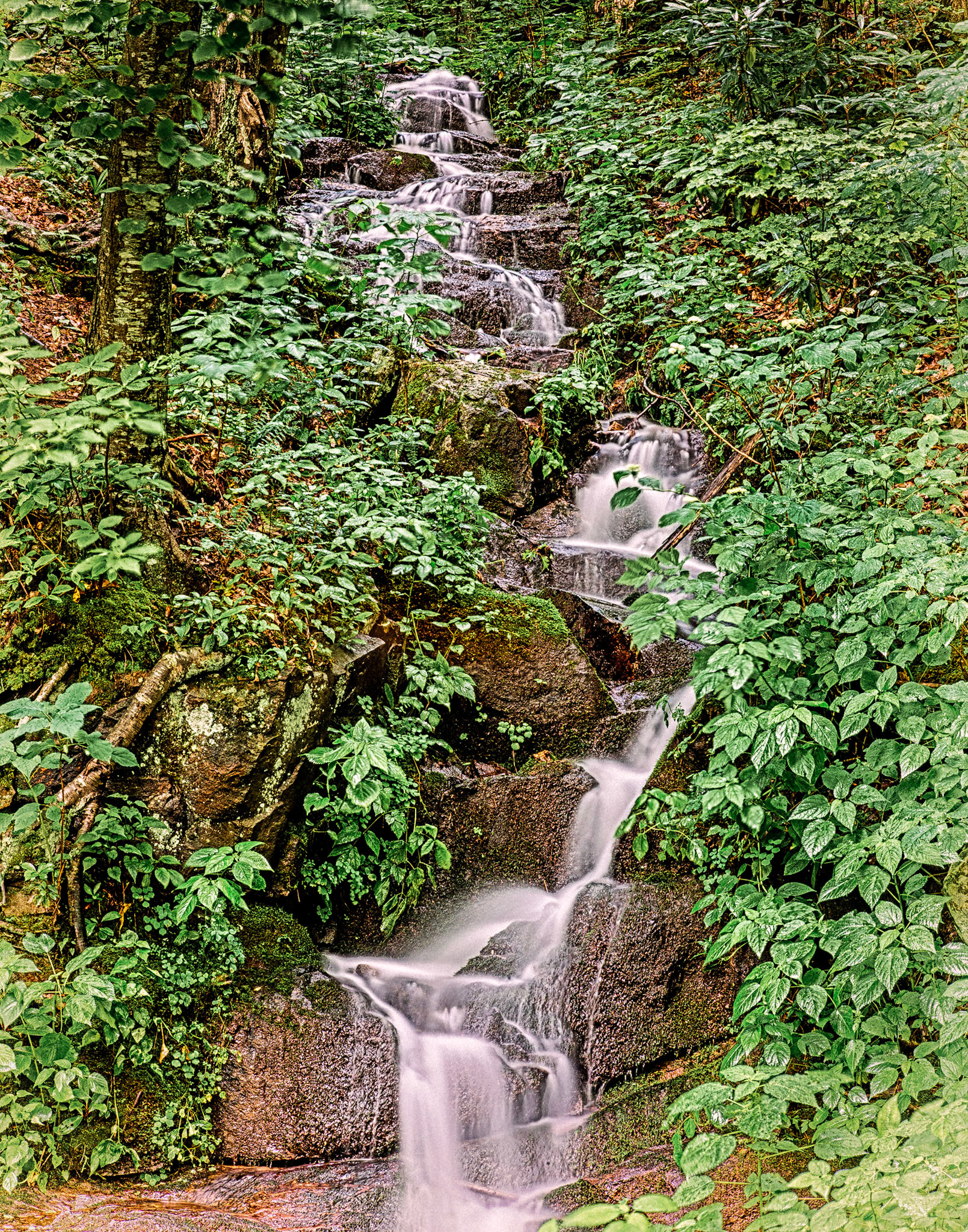 Cascade Near Blue Ridge Parway