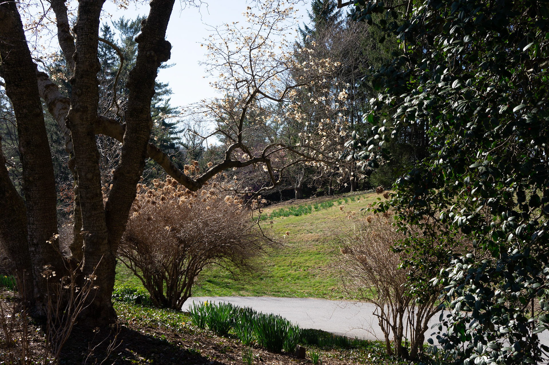 Garden Path on Biltmore Estate