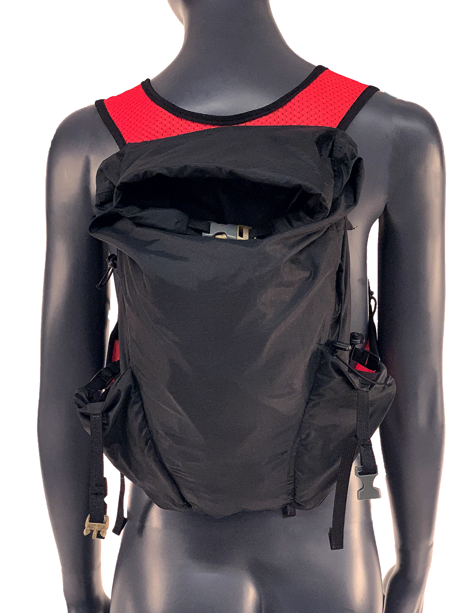 Back View